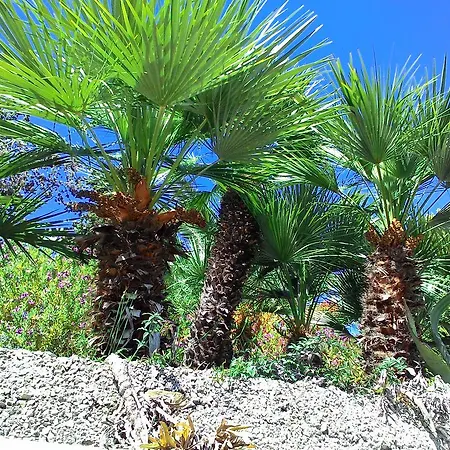Ξενοδοχείο με διαμερίσματα La Carruba