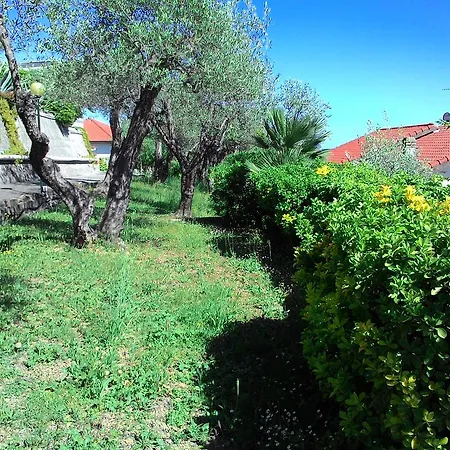 Ξενοδοχείο με διαμερίσματα La Carruba Ντιάνο Μαρίνα