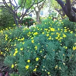 公寓式酒店 拉卡鲁巴公寓式酒店