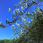 公寓式酒店 拉卡鲁巴公寓式酒店 4*