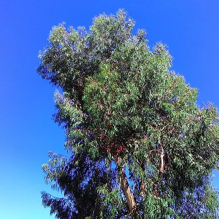 La Carruba Діано-Марина