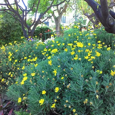 מלון דירות La Carruba