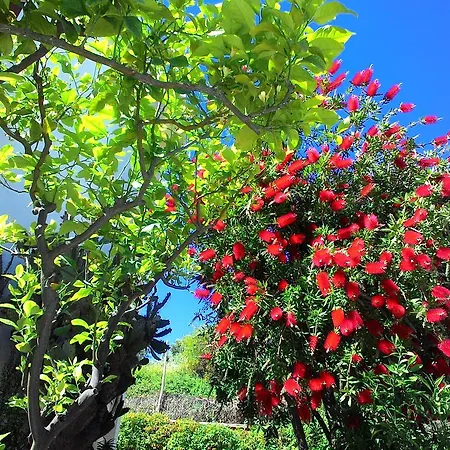 Апарт-готель La Carruba Діано-Марина