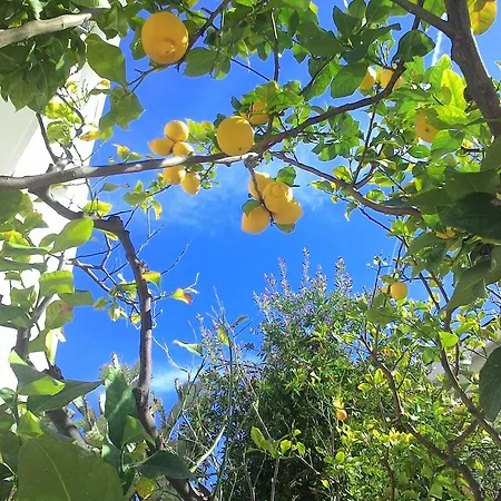 Апарт-готель La Carruba