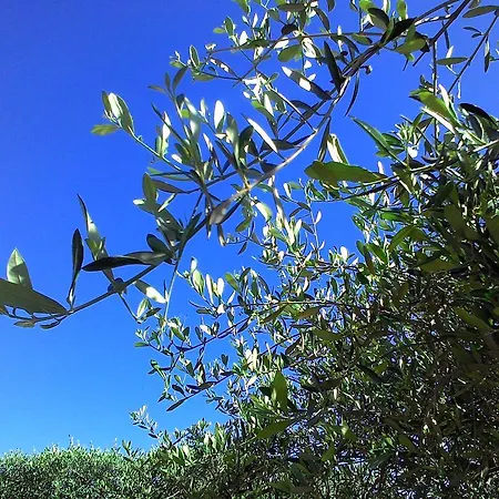 Апарт-готель La Carruba 3*