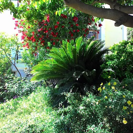 Aparthotel La Carruba 3*