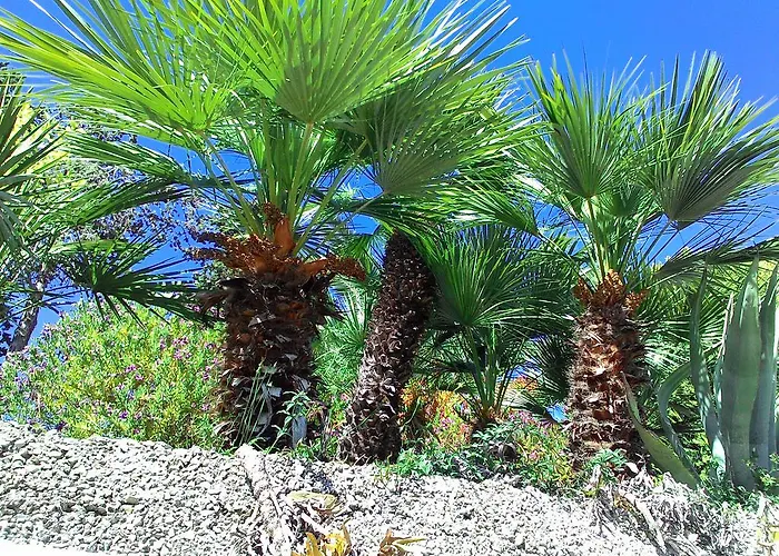 公寓式酒店 拉卡鲁巴公寓式酒店