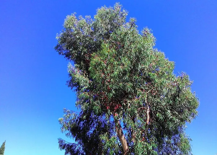 拉卡鲁巴公寓式酒店 迪亚诺马里纳