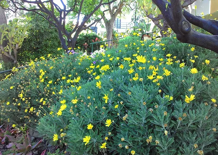 公寓式酒店 拉卡鲁巴公寓式酒店