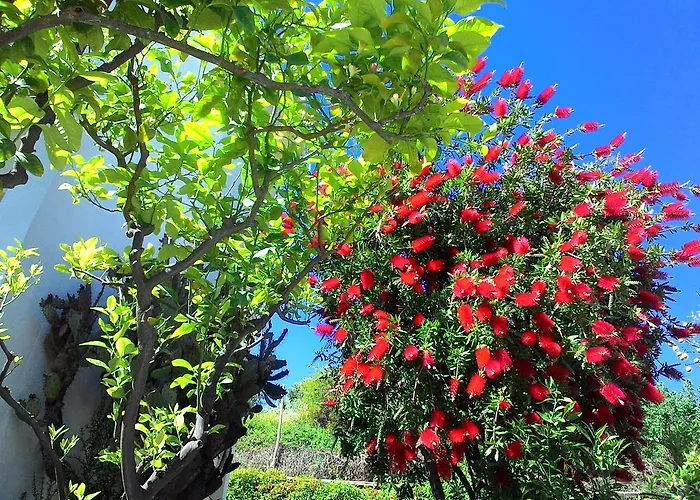 公寓式酒店 拉卡鲁巴公寓式酒店 迪亚诺马里纳