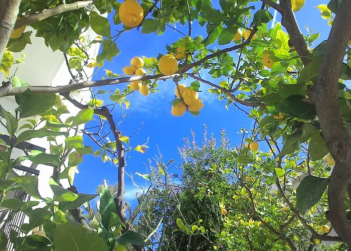 公寓式酒店 拉卡鲁巴公寓式酒店