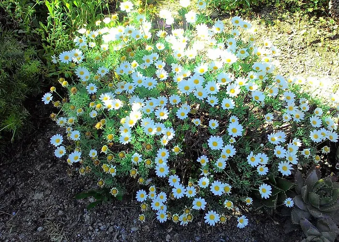 公寓式酒店 拉卡鲁巴公寓式酒店 3*