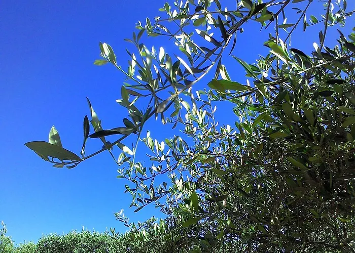 公寓式酒店 拉卡鲁巴公寓式酒店 3*