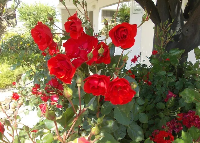 拉卡鲁巴公寓式酒店