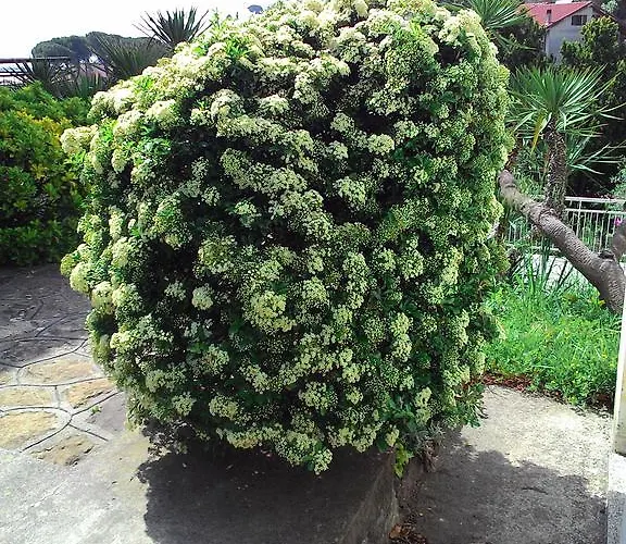 公寓式酒店 拉卡鲁巴公寓式酒店 迪亚诺马里纳