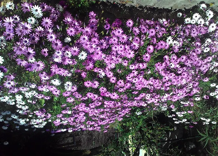 拉卡鲁巴公寓式酒店