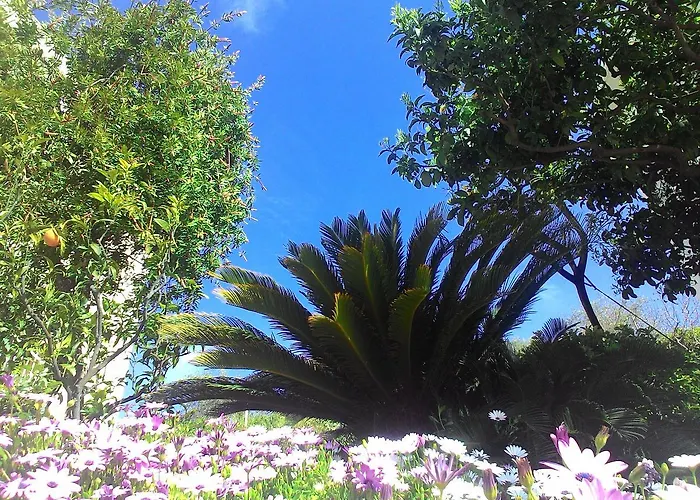 拉卡鲁巴公寓式酒店 公寓式酒店